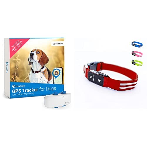 Tractive GPS Tracker Die 15 besten Produkte im Vergleich & Angebote