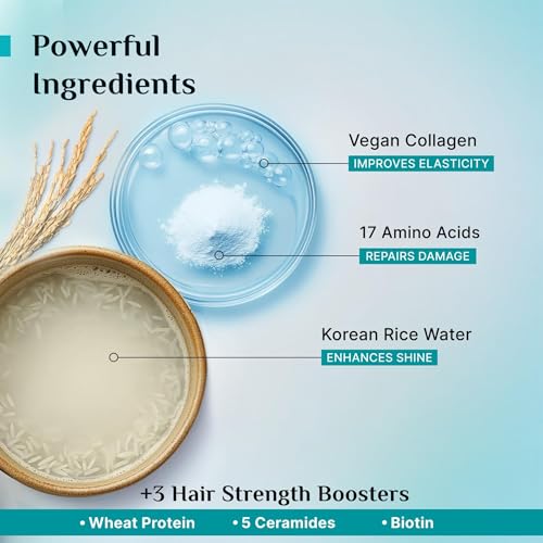 Image of Pilgrim Korean Rice Water & Collagen Advanced Damage Repair Conditioner - 200ml | With 17 Amino Acids, Wheat Protein & Ceramides | Paraben-Free | Deep Nourishment & Shine I For Women & Men
