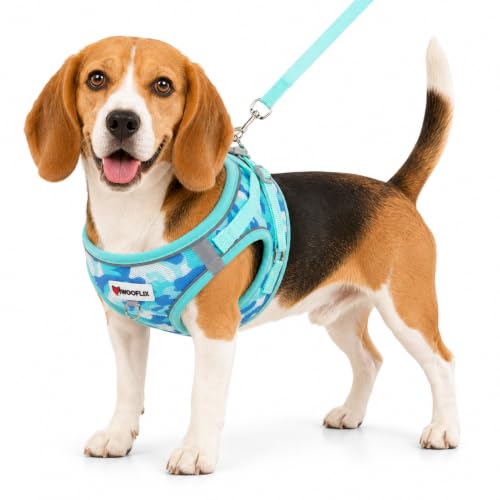 Image of Wooflix Reflective No Pull Dog Harness with Leash for Puppies, Small & Medium Breed Dogs, Adjustable Soft Breathable Padded Mesh Pet Harness Vest, Turquoise | Medium (2.5 kg - 4.5 kg Dogs & Cats)