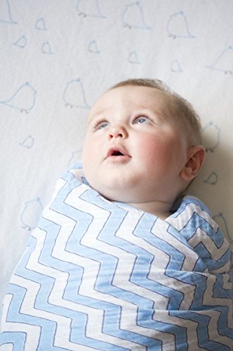 Image of SwaddleDesigns Marquisette Receiving Swaddle Blanket for Baby Boys & Girls, Soft Premium Cotton Muslin, Best Shower Gift, Blue Chevron, Parent Picks Award Winner