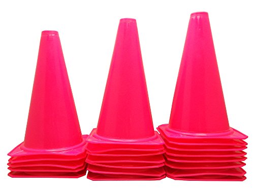 Bluedot Trading Cones (20 Pack), 9