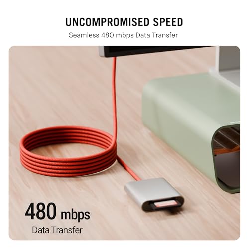 Image of DailyObjects POP 100W Kevlar Core Magnetic Charging Cable | USB Type-C| Fast Charging, 480Mbps Data Transfer | Compatible with Android & iOS Smartphones, Earphones, Tablet /Ipads, Macbook - Red