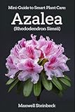 Independently published
