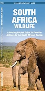 South Africa Wildlife: A Folding Pocket Guide to Familiar Animals (A Pocket Naturalist Guide) (Nature Observation International)