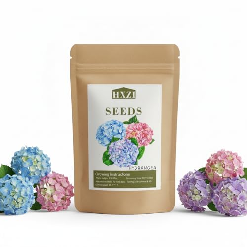 KCT GARDEN Hydrangea Seeds, 1.76 Ounces,300+ Pcs,Flower Seeds for Planting, Mixed