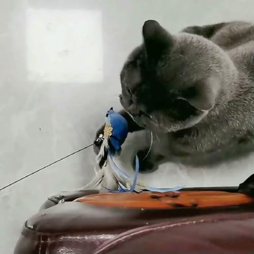 Tête de rechange pour chat lot de 2 embouts plume pour jouet interactif - 3