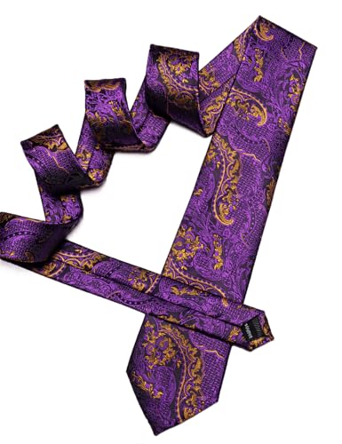 Image of Barry.Wang Paisley Tie Fashion Set Hanky Cufflinks Neckties for Men Woven Silk