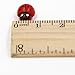 Shindel 100-Pack Wooden Ladybug Stickers, Self-Adhesive Realistic 3D Decor for DIY Crafts, Scrapbooks, Home Garden & Party Decoration