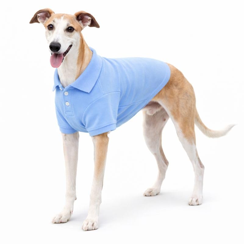 lovelonglong Basic Dog Polo Shirts Premium Cotton, Polo T-Shirts for Large Medium Small Dogs with a Two-Button Collar Blank Color Sky-Blue XXXL
