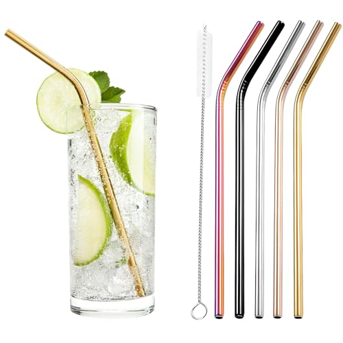 304 Stainless Steel Reusable Drinking Straws (5 Pcs)
