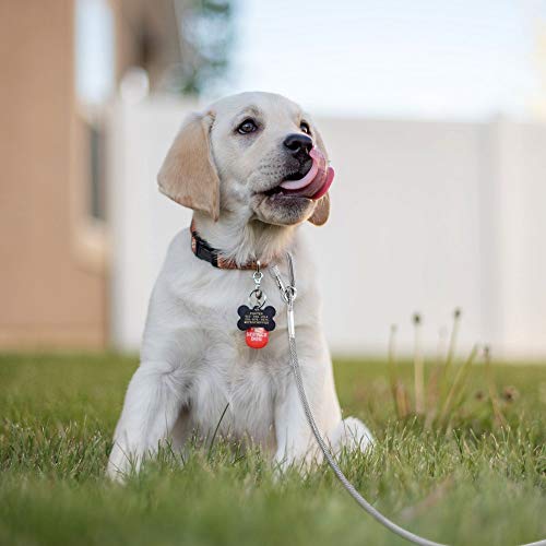 image for XiaZ 30 Feet Tie Out Cable for Dogs, Locking Carabiner Dog Runner Chai