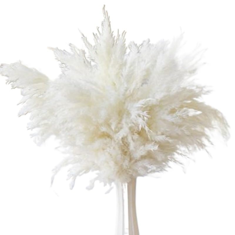 Pampas Grass 45cm Multicolor Pack de 5 miniatura 1