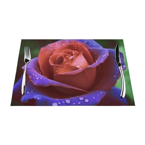 Sets de table résistants à la chaleur et antidérapants pour protéger vos meubles - 3