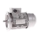 0,37 kW RPM: 3000 rpm min IE1 3F1A-71MA-2B5 Felstrom Drehstrommotor 0,37 kW 3000 rpm min IE1 B5 50/60Hz IEC Framesize/Rahmengröße 71 IP55