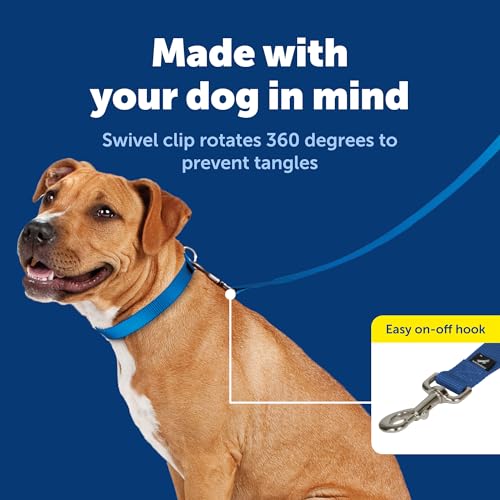 Image of PetSafe Nylon Dog Leash Strong, Durable, Traditional Style Lead with Easy to Use Bolt Snap for Small, Medium and Large Dogs 1 inch x 4', Royal Blue