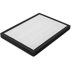 TROTEC HEPA-Filter (99, 97% Filterleistung) für Luftreiniger AirgoClean 100 E