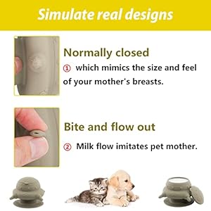 Puppy bottles for nursingpuppy milk feeders for multiple puppies nipplepuppy feeder milk bowl4 nipples silicone puppy nursing stationfeeder bowl for kittens puppiescapacity 240mlgrey   cucciolini doodles