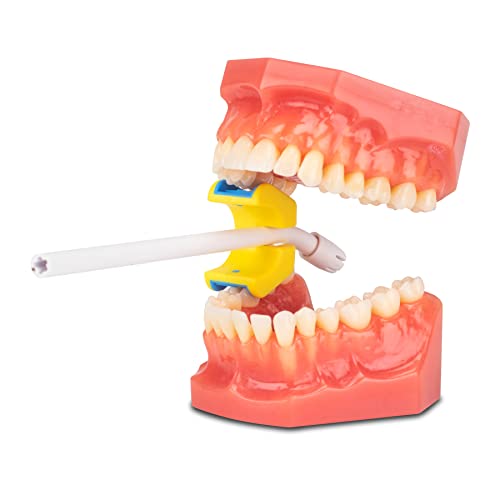 Practicon 7102411 M E-Prop Dental Mouth Prop, Autoclavable Bite Block thumb #1