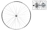 Wheel Front 27 x 1-1/4 Silver, Bolt On, 5/16 Axle Hub, 14g UCP Spokes, 36H