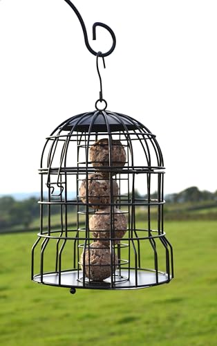 Supa Meisenknödel-Futterspender für Wildvögel, schützt Eichhörnchen und größere Vögel wie Tauben und Tauben