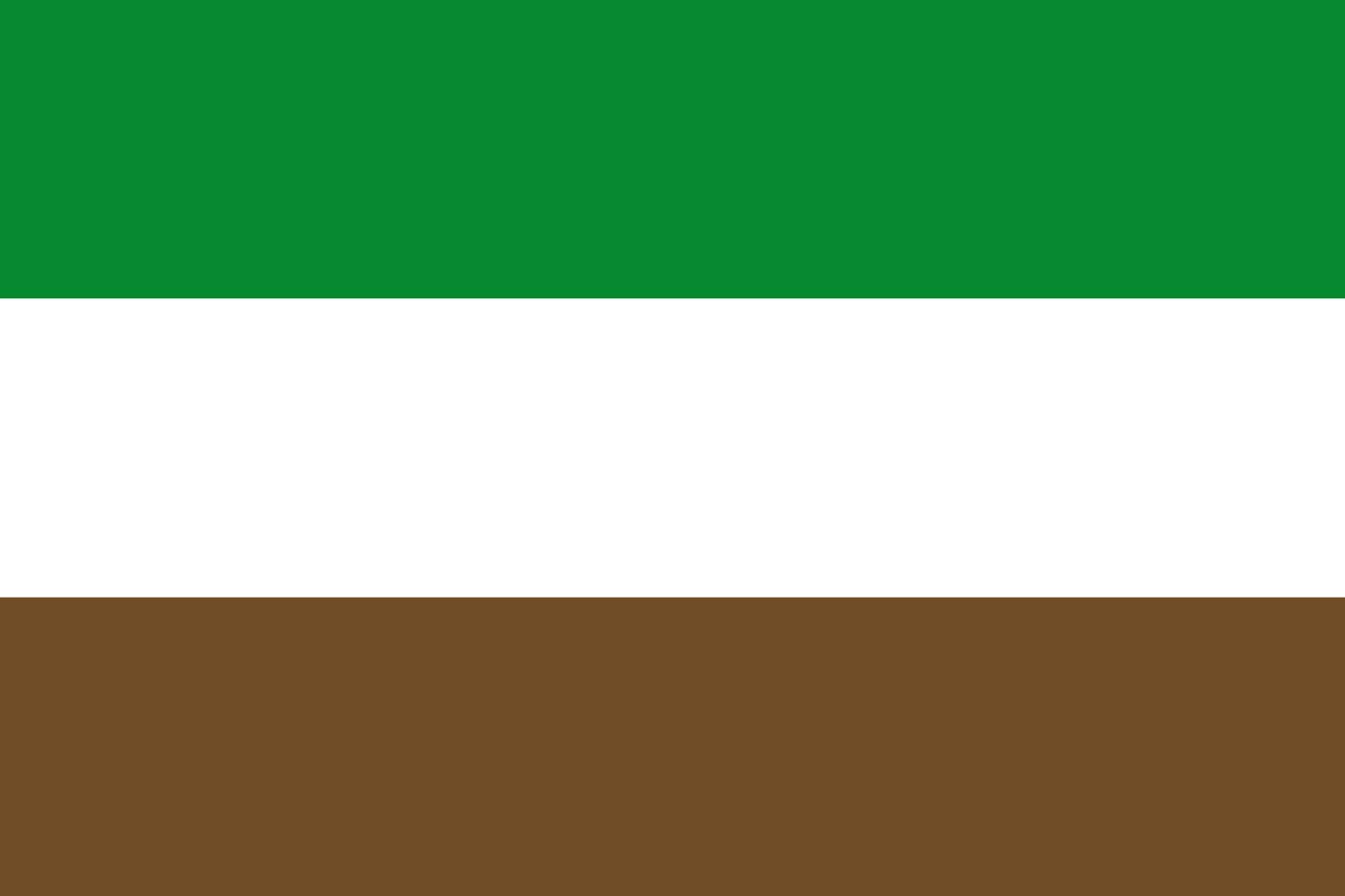 Drapeau Arauquita Arauca XL grand pavillon héraldique municipalité Colombie