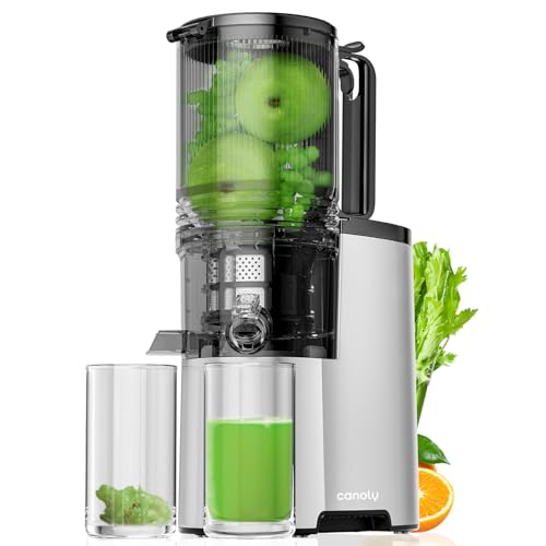 Cold Press Juicer, 6.1″ Extra Large Feed Chute Fit Whole Fruits & Vegetables, 350W Professional Slow Masticating Juicer Machines, Easy to Clean