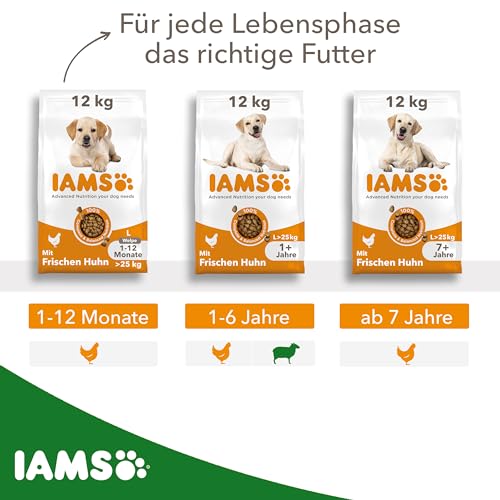 IAMS Hundefutter trocken mit Lamm - Trockenfutter für erwachsene Hunde ab 1 Jahr, geeignet für große Hunde, 3 kg