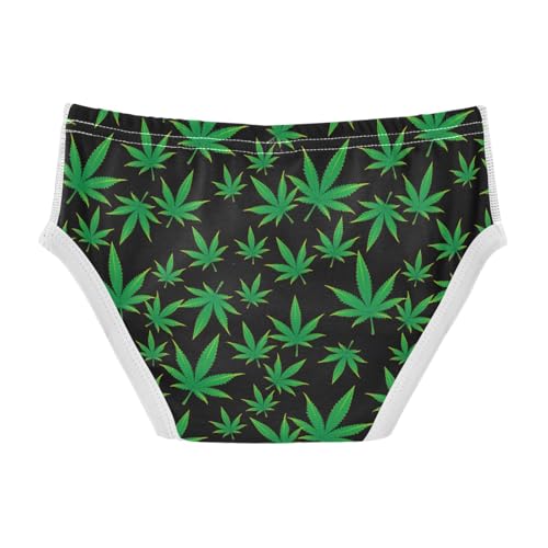 Boys' Exclusive Briefs Toddler Underwear 95% Combed Cotton Boxerbriefs 2T Green Leaf Pattern 32