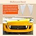 2 Pcs Halloween Decoration Car Teeth, Bumper Funny Decor, Vampire Fangs Teeth, Fits Cars, Truck, SUV, Spooky & Fun Car Fangs for Front Grille, 2.5