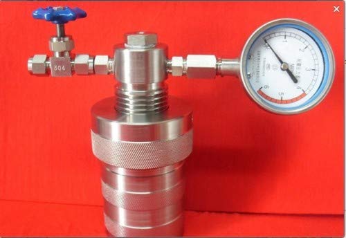 GOWE 350ml Hydrothermale Synthese Autoklav Reaktor Verdauung Hochdruck Tank mit Teflon Kammer & Manometer