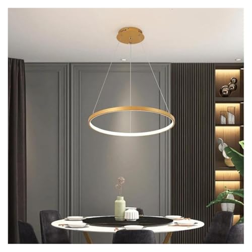 Lustre de plafond LED moderne fini or pour une décoration raffinée