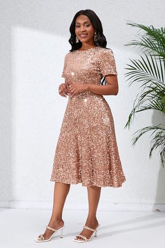 Image of Sequins Glitter Short Sleeve Women's Maxi A-line Dress - Sparkly Party Elegant
