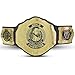 Wrestling Championship Title Belt Replica - Adult Size Replica Title Championship Authentic Look (2023 Roman Belt)