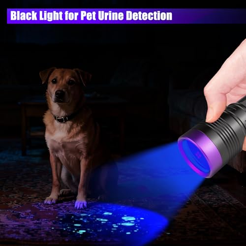 Image of 365nm UV Flashlight Rechargeable Black Light Flashlights Adjustable Focus | Blacklight Powerful, Pet Urine Detection, Ultraviolet, Resin Curing, Rocks, Scorpions, Blood Tracking, Uranium Glass
