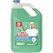 Cleaner