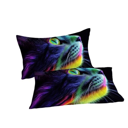 Housse de couette chatons king size 220x240 en microfibre - 7