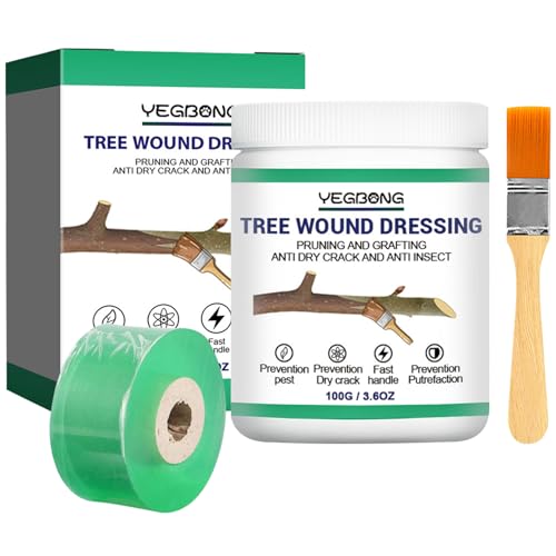 exatta Mastic à Cicatriser pour Arbres, Pâte à Greffer pour Jardin, Arbres d'Ornement, Bonsaï – Favorise la Cicatrisation, Forme Un Film Protecteur Rapide – 100 g avec Ruban de Greffage (2cm)