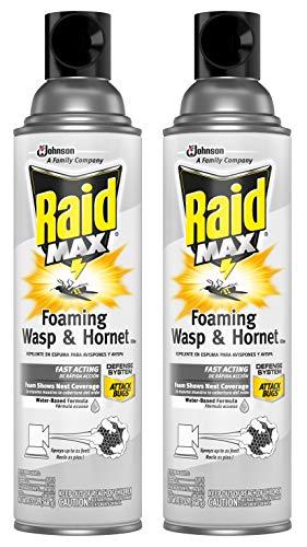 Raid Max - Foaming Wasp & Hornet Killer - Sprays Up to 21