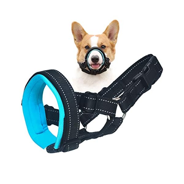 barkless muzzle