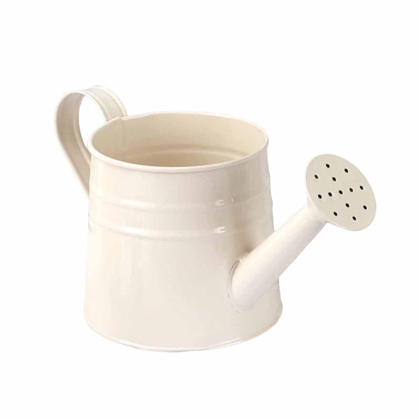 QUXVUIS Decorative Accents Retro Planter Metal Mini Watering Can Flower Container Suitable For Charming Indoor Outdoor Decor Mini Watering Can Plant Pot Iron, White, 24.5x11.5cm