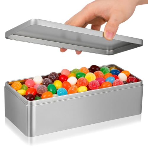 Cabilock Metall Blechdose Mit Deckel Rechteckige Aufbewahrungsdose Teeblätter Weißblechbehälter Für Den Täglichen Gebrauch -23,5 x 11 x 6,5 cm