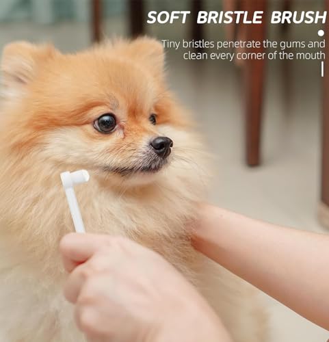 Image of 5Pcs Dog & Cat Toothbrush Kit - Manual, Reusable, White, Nylon Bristles - 360 Rotating, Finger, Soft, Tapered & Regular Brushes - Dental Care for All Pets