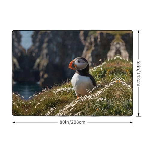 Tapis Puffin is Cliffs 203x147 cm grand format pour salon et bureau - 4