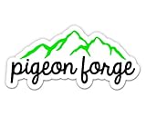 Squiddy Pigeon Forge Greak Smoky Mountains - Vinyl Sticker Decal for Phone, Laptop, Water Bottle (3' Wide)
