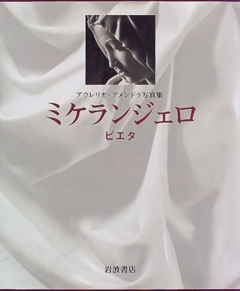 ミケランジェロ―ピエタ アウレリオ・アメンドラ写真集 Amazon.co.jp: ミケランジェロ-ピエタ: アウレリオ・アメンドラ