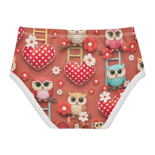 Toddler Panties, Colorful Owls Cotton Girls Underwear, 2–8 Years2
