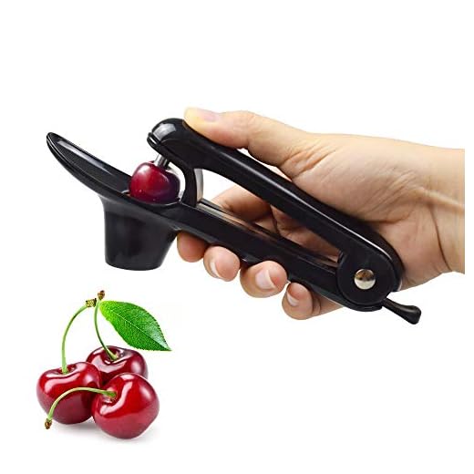 Cherry Pitter Tool, LaZimnInc Olive Pitter Tool, Cherry Stoner Seed and Olive Tool Remover, Black