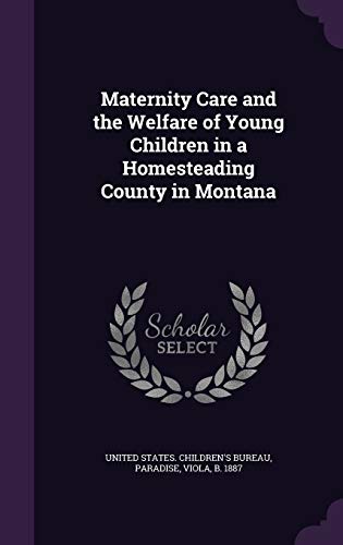 Maternity Care and the Welfare of Young Childre... 1342151828 Book Cover