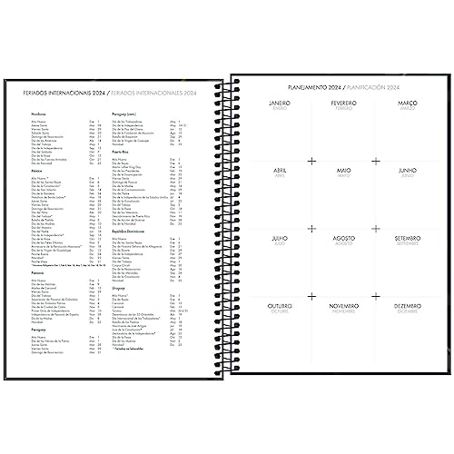 Tilibra - Agenda Executiva Espiral Diária 20 x 27,5 cm Spot 2024 - Cinza e Verde - Seta