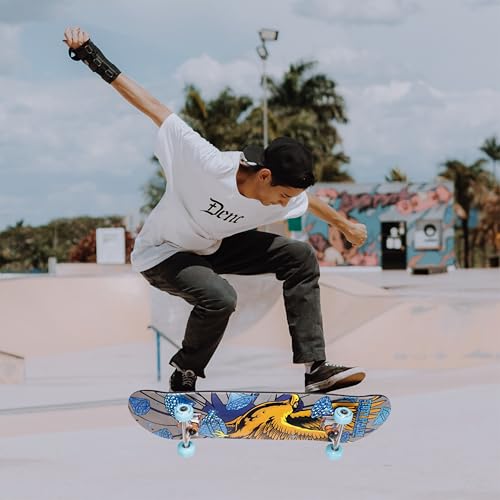 Image of Tony Hawk - 31-Inch Signature Series 3 Skateboard, 9-Ply Maple Deck
